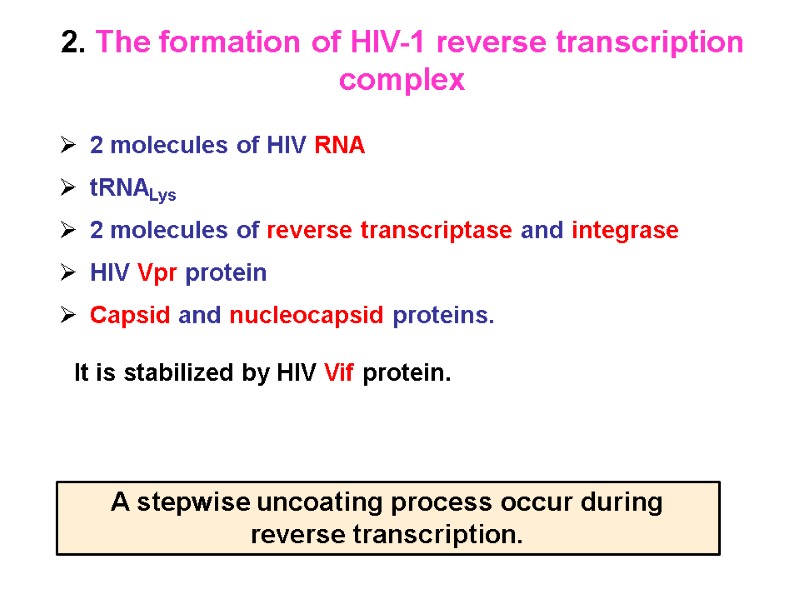 2 molecules of HIV RNA tRNALys 2 molecules of reverse transcriptase and integrase HIV